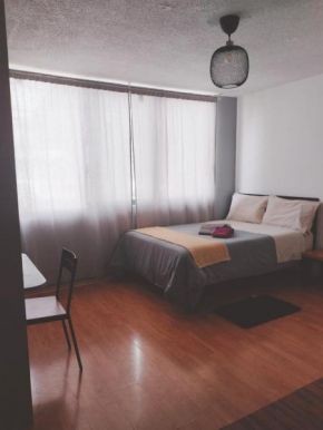 Modern Studio, Rooftop Charm, CDMX Center2